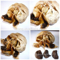 Japanese Black Garlic